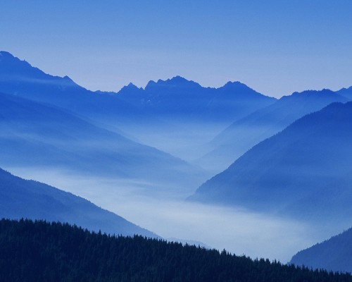 南京市第一医院官网