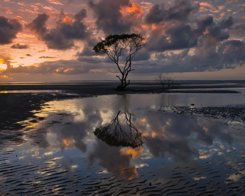 西安博迪学校收费怎么样（西安博迪学校收费怎么样啊）