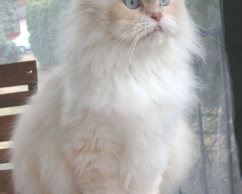 吉林市职业病防治院官网