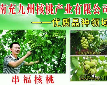 南充九州核桃产业开发有限公司
