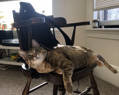  西安蓝田县及其所属区域的详细描述