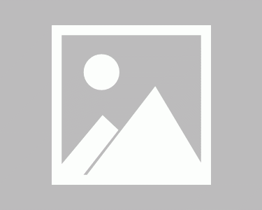 西安金旭电梯有限公司