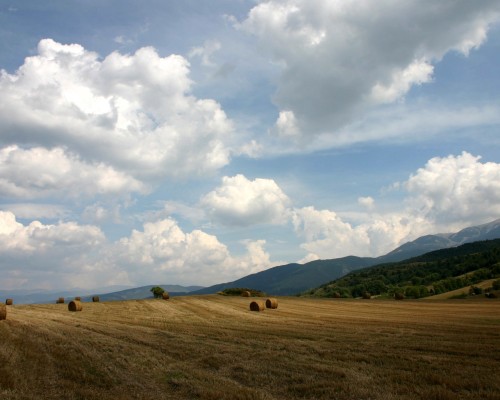 西安世融嘉境怎么样（西安世融嘉境怎么样啊）