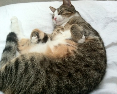 龙海市第一医院官网