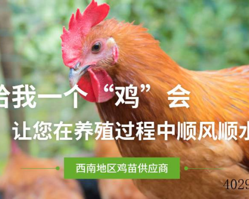 广汉市乐航养殖有限公司