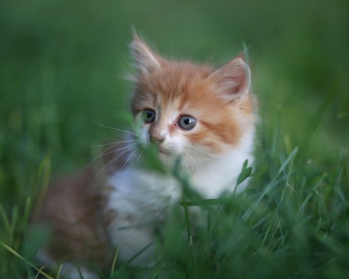 深圳万丰医院官网