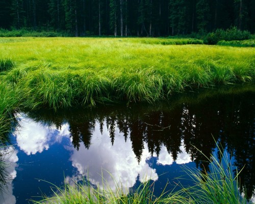 陕西师范大学质量怎么样（陕西师范大学口碑怎么样）
