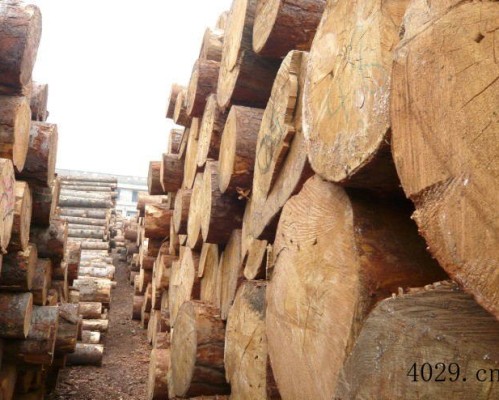 重庆力倍木制品有限公司