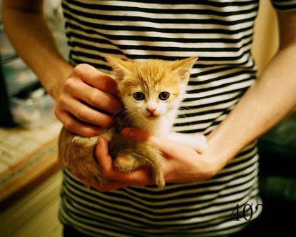 上海静安区中心医院官网