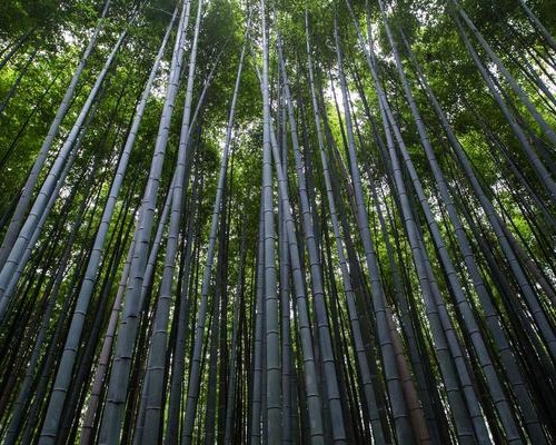 西安邮电大学——双非院校里的通信就业强者，运营商和华为中兴的招聘大户