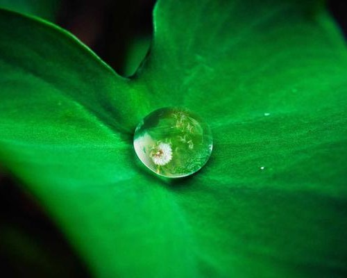 陕西法士特——中国最大的重型汽车变速器制造商